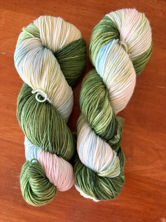 Magnolia Blossom attempt 1