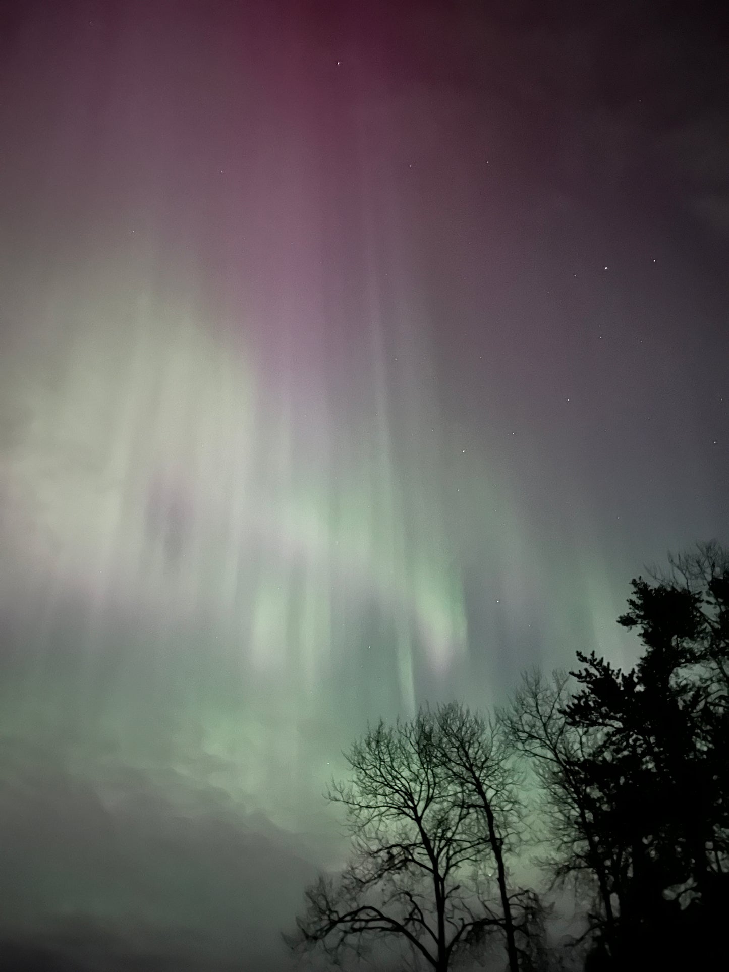 MN Northern Lights